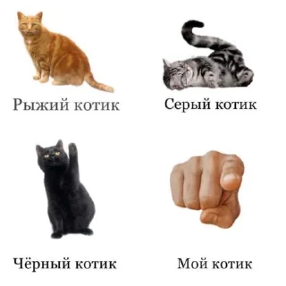 🌟 emoji милые пикчи-@kichkap Telegram sticker 24 of 50