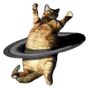 😺 emoji Random access Telegram sticker 20 of 43