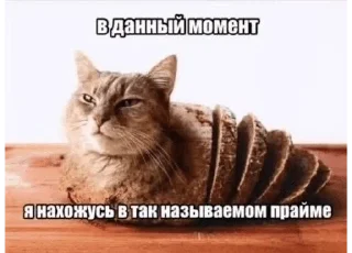 🍞 emoji твари 2.0 Telegram sticker 12 of 119