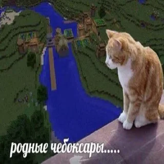 🌈 emoji Мемуары Долбоеба Telegram sticker 24 of 120