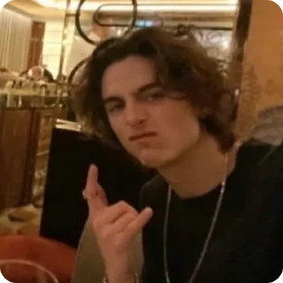 🤟 emoji Timothée Chalamet (@tfberg) Telegram sticker 11 of 49
