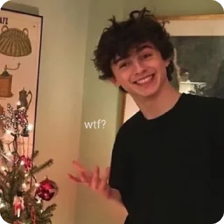 Sticker from Timothée Chalamet (@tfberg)