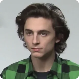 🙂 emoji Timothée Chalamet (@tfberg) Telegram sticker 24 of 49