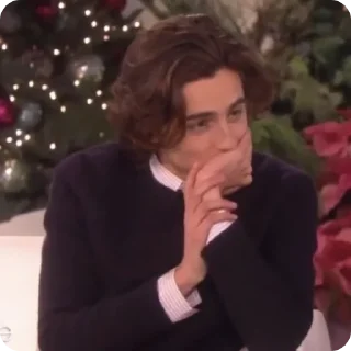 🤭 emoji Timothée Chalamet (@tfberg) Telegram sticker 9 of 49