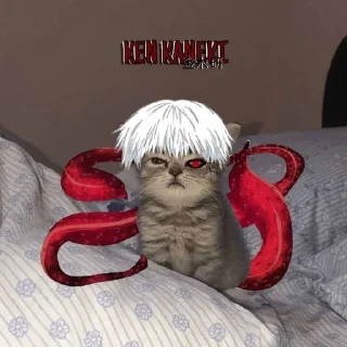 🌟 emoji Кошки топ Telegram sticker 4 of 89