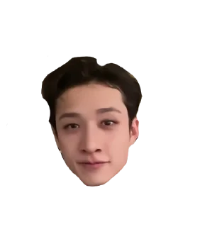 🙂 emoji StrayKidssssssssaaa Telegram sticker 3 of 8