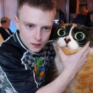 🤩 emoji меллстройность Telegram sticker 11 of 120