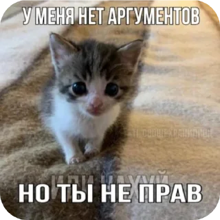 🐱 emoji Стики мамы Telegram sticker 10 of 61