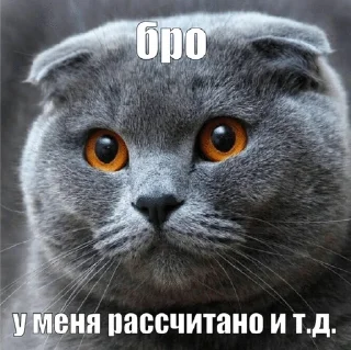 Sticker from я спортик ( by khadizha )