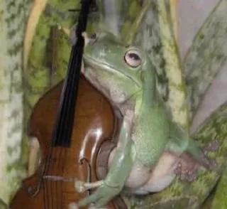 🎻 emoji Лягушки 🐸💗 Telegram sticker 5 of 43