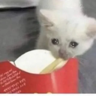 🍟 emoji муд по жизни Telegram sticker 13 of 31