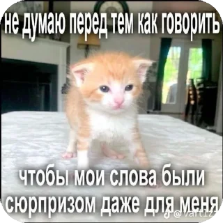 🐱 emoji хз @Agent_00007 Telegram sticker 17 of 98