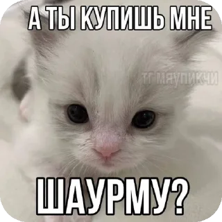 🐱 emoji хз @Agent_00007 Telegram sticker 18 of 98