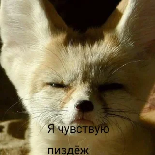 ✨ emoji Принцесса. Telegram sticker 21 of 23