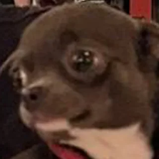 😳 emoji Чат ебаный Telegram sticker 24 of 45