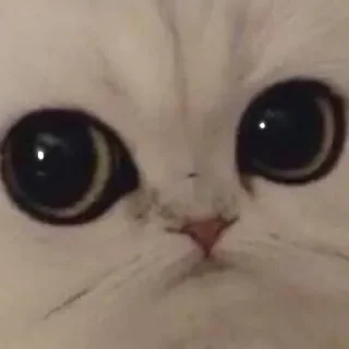 👀 emoji моя стикерня Telegram sticker 15 of 81