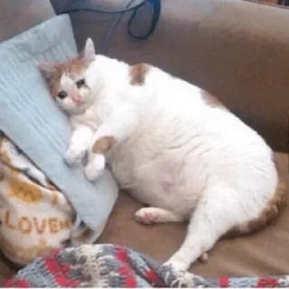 😥 emoji моя стикерня Telegram sticker 8 of 81