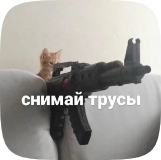 🫧 emoji meow Telegram sticker 6 of 50
