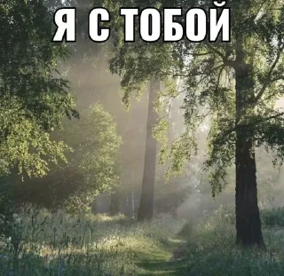🌟 emoji природа ахуенная Telegram sticker 19 of 120