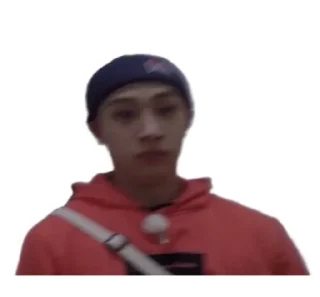 Sticker from SKZ