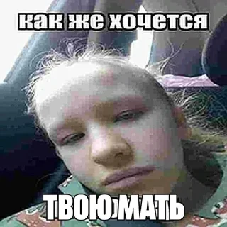 😍 emoji Доги кок Telegram sticker 8 of 28