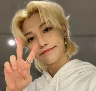 ✌️ emoji Stray kids🤍 Telegram sticker 18 of 53