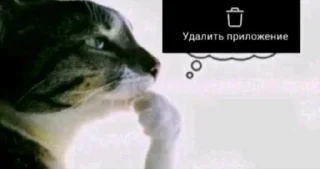 🤔 emoji хуета Telegram sticker 19 of 70