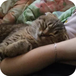 😴 emoji Вася Telegram sticker 12 of 33