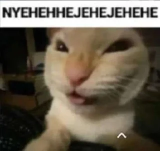 😼 emoji мемновые коти Telegram sticker 7 of 120