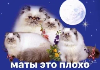 🌟 emoji Жулик не воруй(0.2) Telegram sticker 7 of 50
