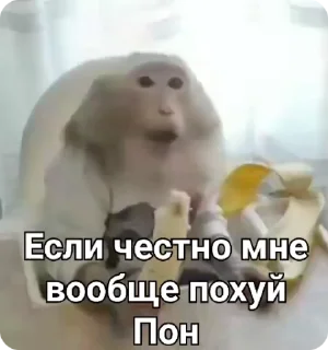 😐 emoji Манки • @Earth928B Telegram sticker 22 of 50