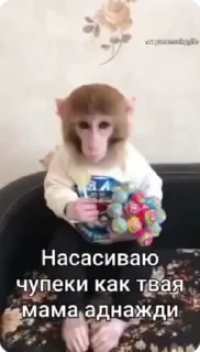 🧐 emoji чо блен Telegram sticker 20 of 68