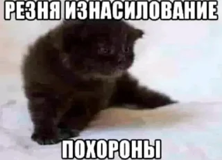 🔪 emoji Автор: @I_Love_Shinji Telegram sticker 17 of 38