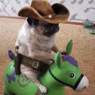 🤠 emoji морсы Telegram sticker 21 of 120