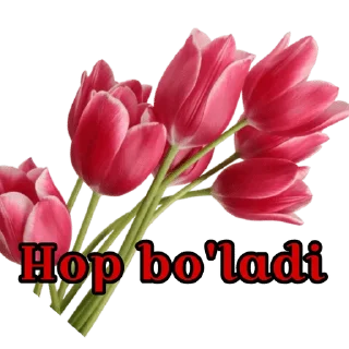 ✔️ emoji @nigorim_academy @Abdukomilovna Telegram sticker 10 of 37