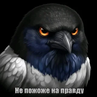 🌟 emoji Разноцветные птички Telegram sticker 17 of 120