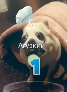 🌟 emoji Скибиди туалет Telegram sticker 10 of 120