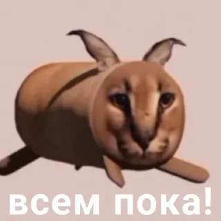 Sticker from флоптоп @any_stick @emojis4