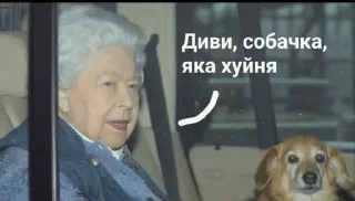 🌟 emoji Ізвінітєсь Telegram sticker 14 of 57