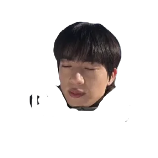 🫥 emoji мои бэби в китайских мемах Telegram sticker 20 of 21