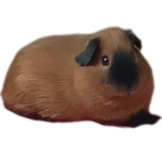 🐶 emoji Крутышки Telegram sticker 6 of 60