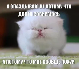 🌟 emoji Злые котята Telegram sticker 21 of 50