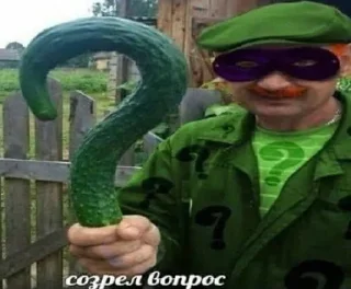Sticker from созрел вопрос