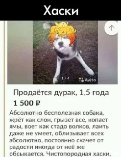 🤩 emoji шарлотка Telegram sticker 5 of 120