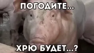 🤩 emoji Нахрюк-бригада @TgEmodziBot Telegram sticker 7 of 120