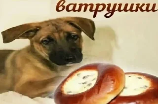Sticker from храни тебя бог