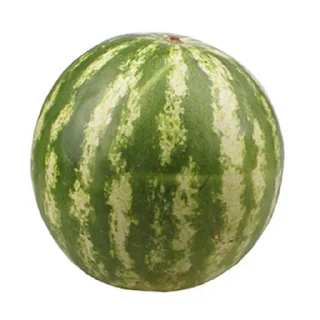 🍉 emoji Я ебал чугун Telegram sticker 8 of 83