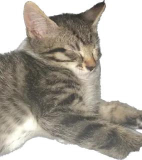 😇 emoji гоша Telegram sticker 13 of 18