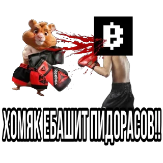 🫥 emoji ХОМЯК ГИТЛЕР Telegram sticker 8 of 19