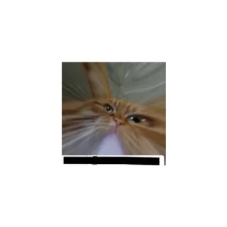 🐱 emoji Отдельный вид искусства Telegram sticker 8 of 14
